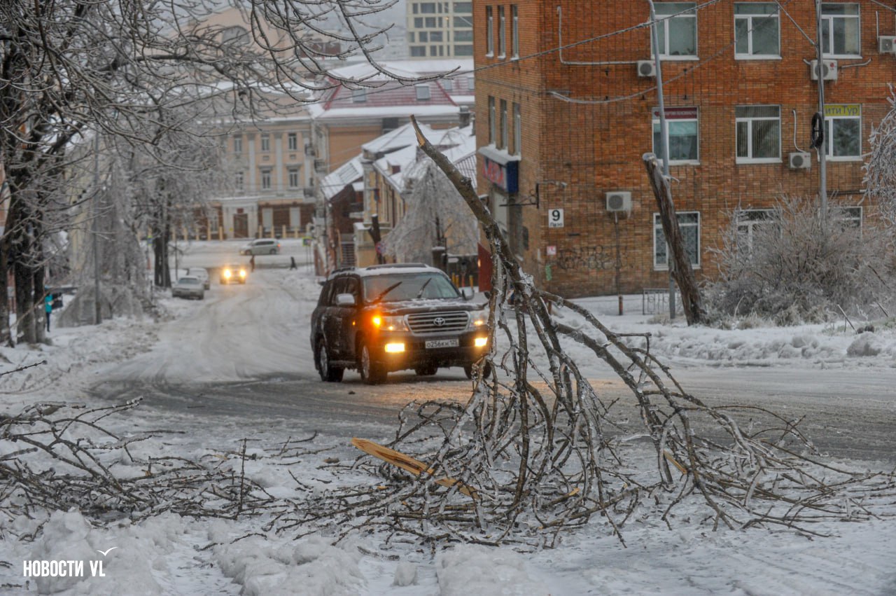 В этот день ровно пять лет назад, 18 ноября 2020 года, во Владивостоке начались осадки, которые войдут в историю как «ледяной дождь» В этот день ровно пять лет назад, 18 ноября 2020 года, во Владивостоке начались осадки, которые войдут в историю как «ледяной дождь»