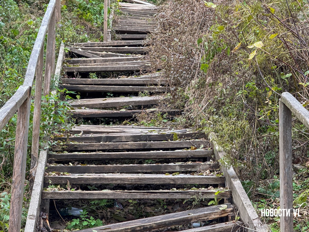 Аварийную лестницу на Жигура, сдвинутую ради строительства многоэтажки, отремонтирует другой застройщик