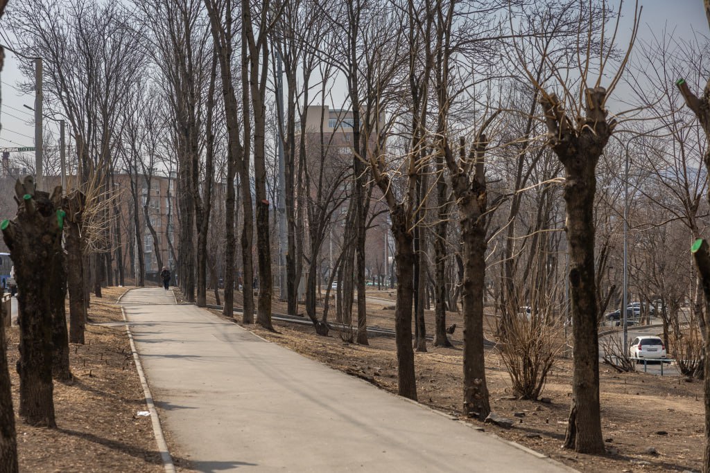 Во Владивостоке обсудят концепцию благоустройства на Кирова, 5-9 Во Владивостоке обсудят концепцию благоустройства на Кирова, 5-9