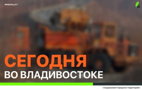 Сегодня во Владивостоке: промывка ливнёвок, обрезка веток, демонтаж объектов, дорожные и санитарные работы