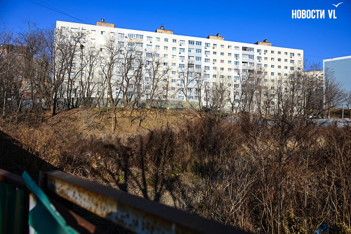 Затянувшейся стройке в сквере на Магнитогорской разрешили увеличить процент застройки, уменьшить озеленение и машино-места Затянувшейся стройке в сквере на Магнитогорской разрешили увеличить процент застройки, уменьшить озеленение и машино-места