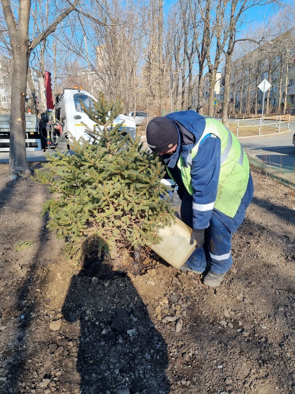 Наши рабочие завершили озеленение территории в районе дома № 8 на улице Кутузова, начатое весной текущего года Наши рабочие завершили озеленение территории в районе дома № 8 на улице Кутузова, начатое весной текущего года