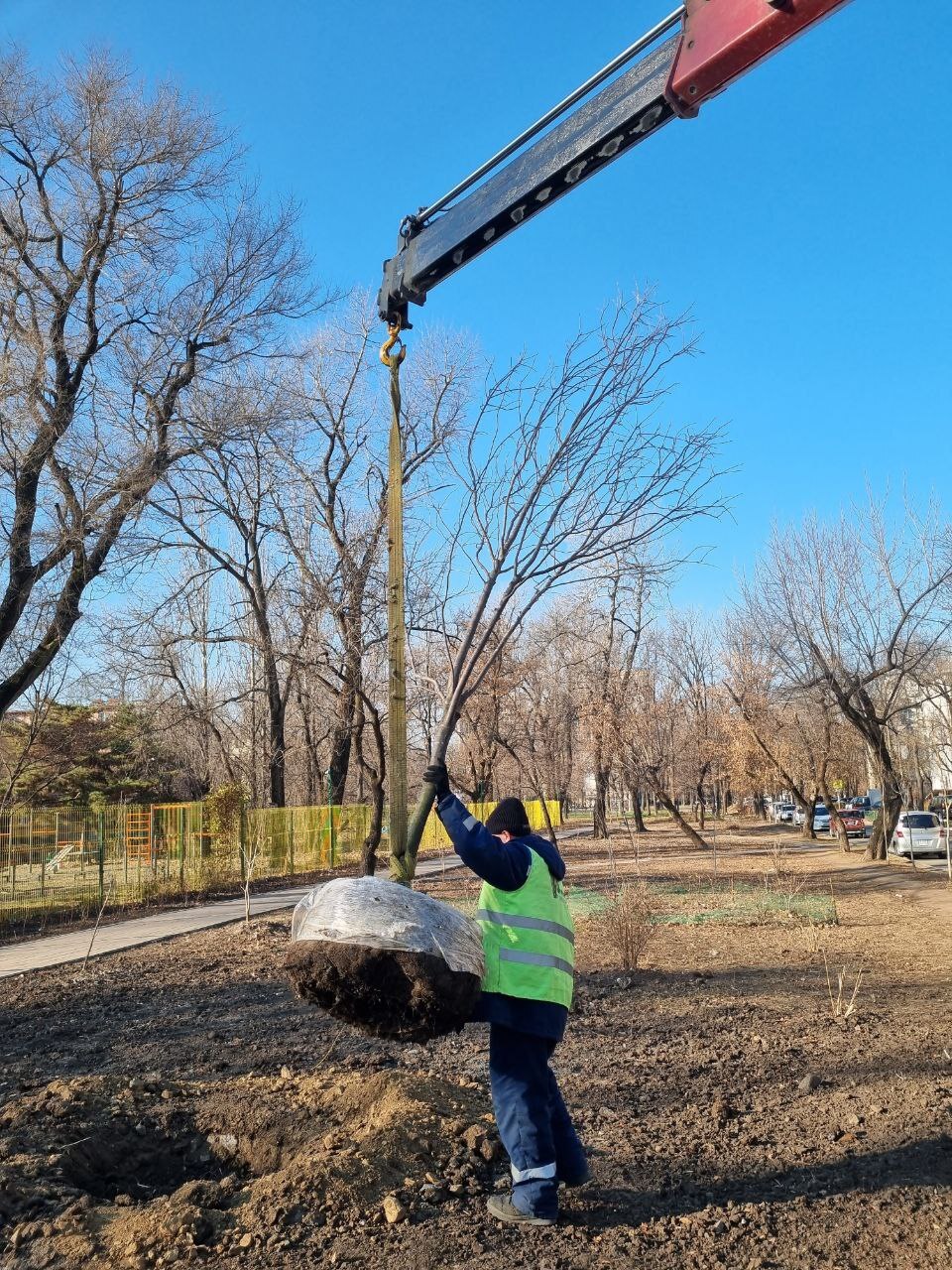 Наши рабочие завершили озеленение территории в районе дома № 8 на улице Кутузова, начатое весной текущего года Наши рабочие завершили озеленение территории в районе дома № 8 на улице Кутузова, начатое весной текущего года