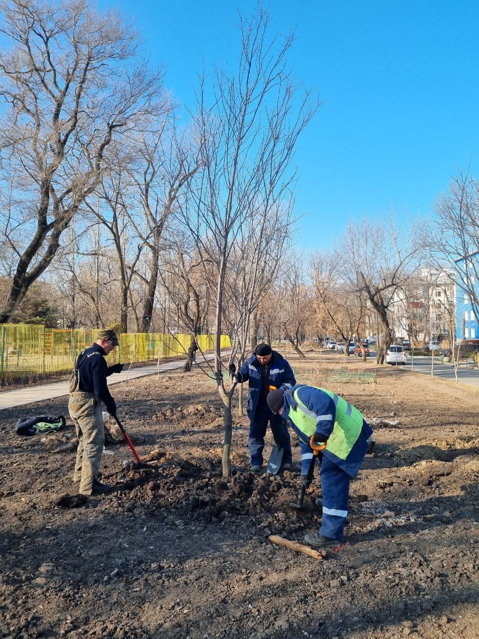 Наши рабочие завершили озеленение территории в районе дома № 8 на улице Кутузова, начатое весной текущего года Наши рабочие завершили озеленение территории в районе дома № 8 на улице Кутузова, начатое весной текущего года