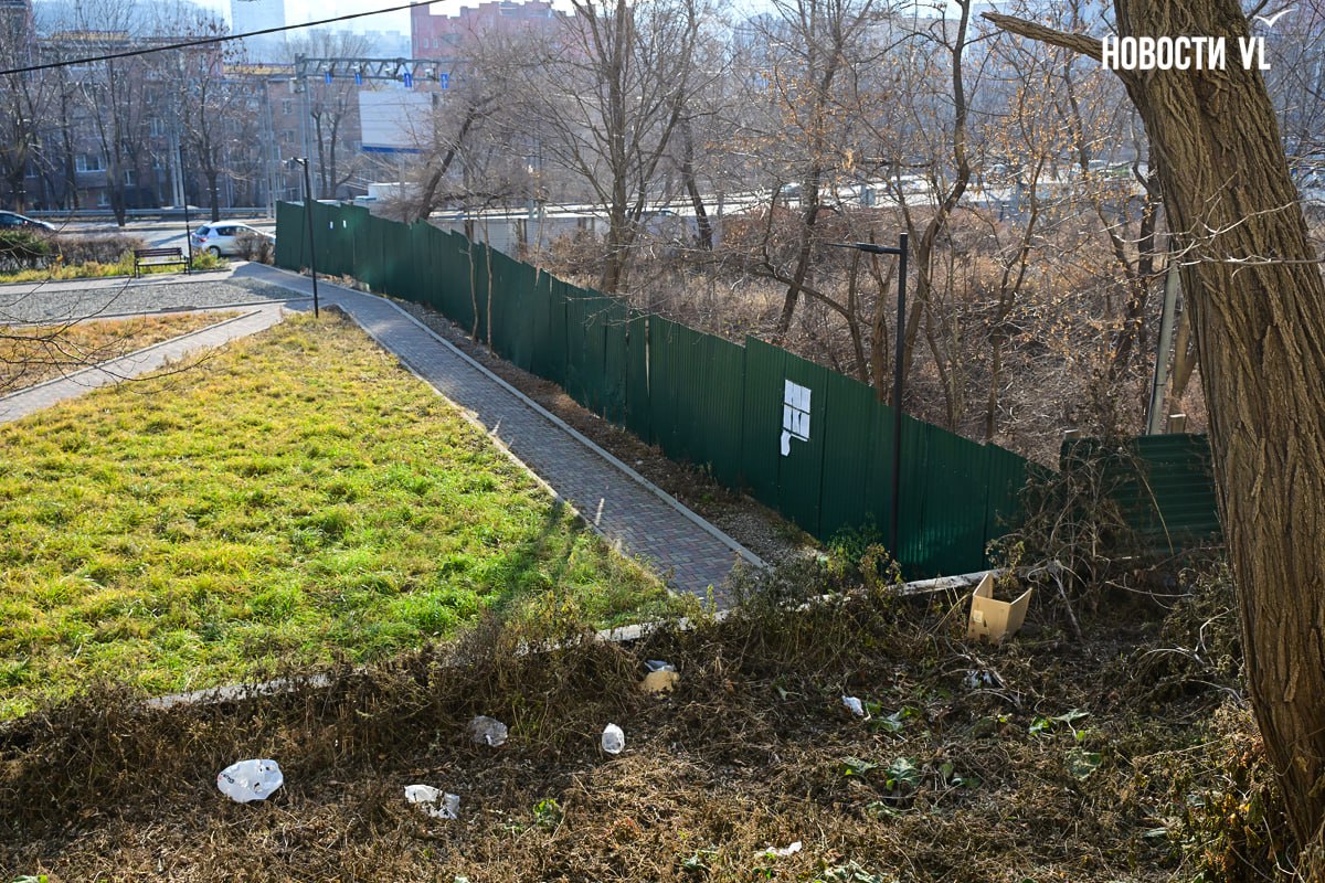 Затянувшейся стройке в сквере на Магнитогорской разрешили увеличить процент застройки, уменьшить озеленение и машино-места Затянувшейся стройке в сквере на Магнитогорской разрешили увеличить процент застройки, уменьшить озеленение и машино-места