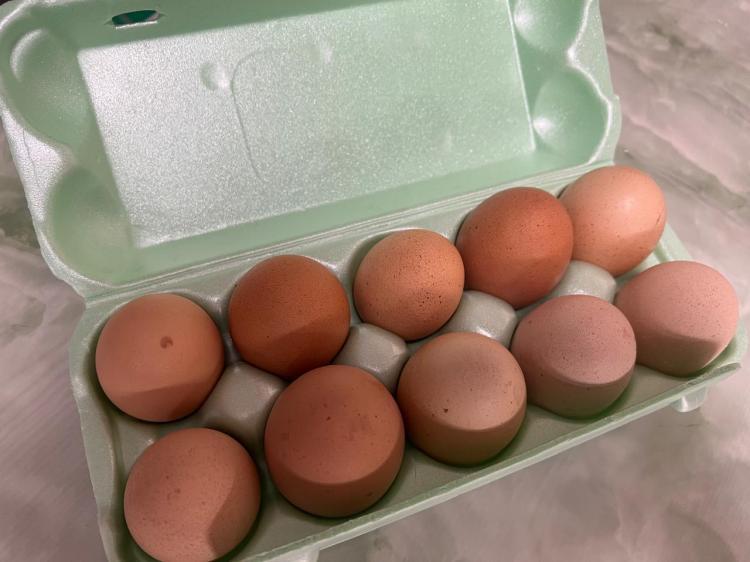 Цены на куриные яйца в Приморском крае продемонстрировали рекордный рост в октябре, значительно опередив инфляцию по остальным категориям товаров