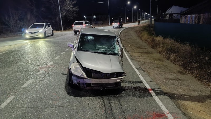 Госавтоинспекция Приморья: выезд на полосу встречного движения спровоцировал столкновение транспортных средств в селе Золотая Долина Госавтоинспекция Приморья: выезд на полосу встречного движения спровоцировал столкновение транспортных средств в селе Золотая Долина