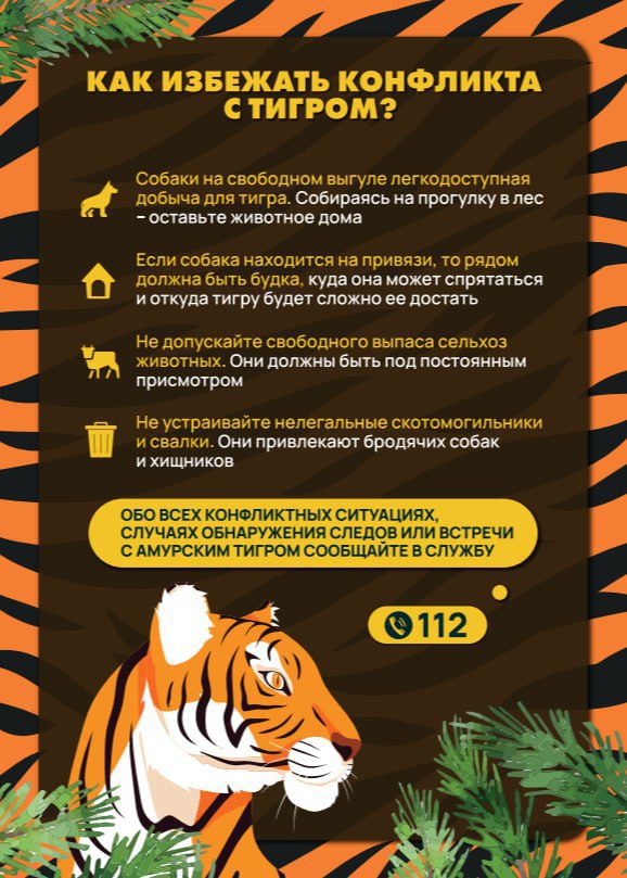 Обеспечение безопасности при возможном выходе диких животных на территорию населённых пунктов Обеспечение безопасности при возможном выходе диких животных на территорию населённых пунктов