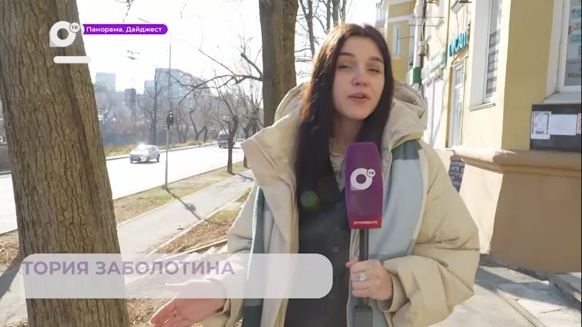 Арт-объект «Чайка – книжный шкаф» появился во Владивостоке