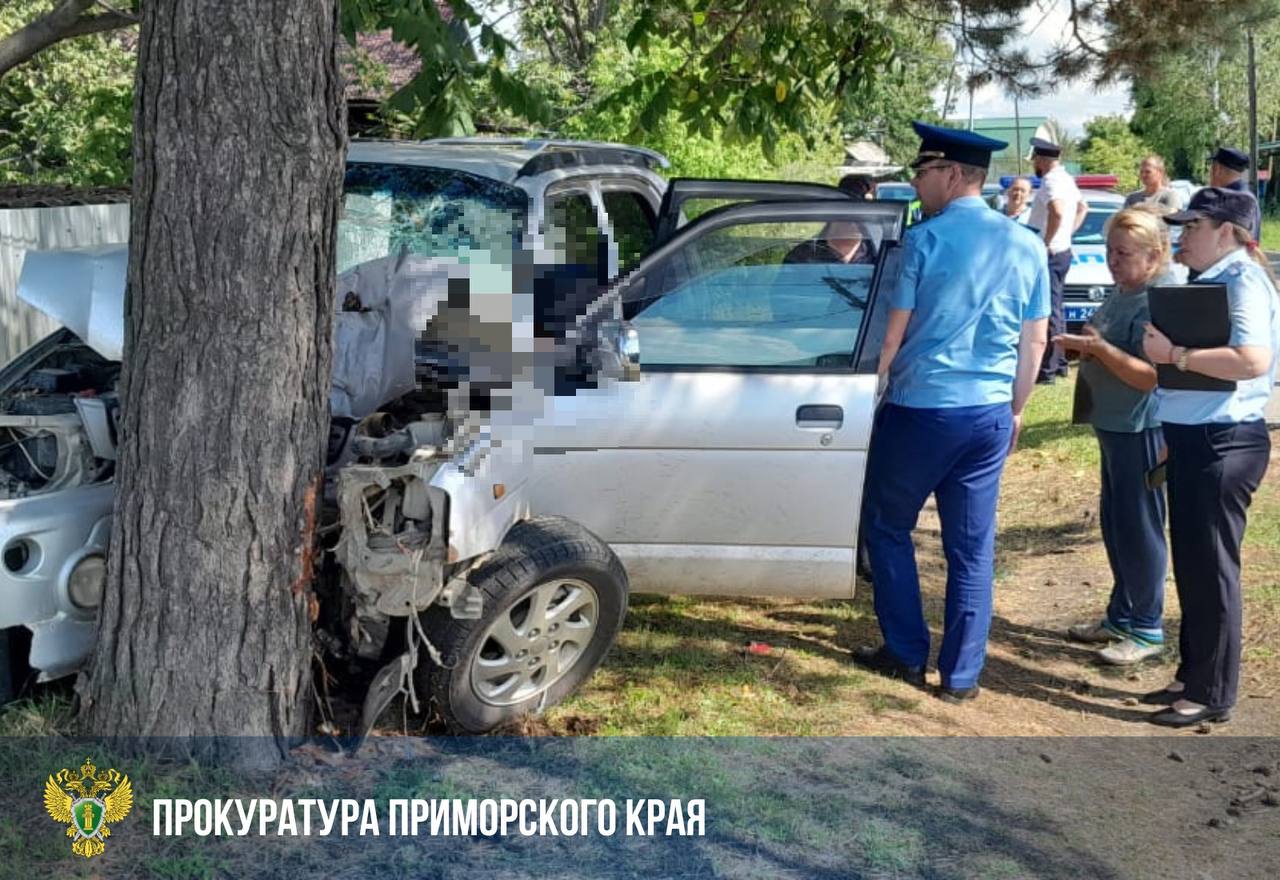 Жительница Дальнереченска осуждена за гибель пассажира и причинение увечий еще двум пассажирам после передачи руля несовершеннолетней дочери Жительница Дальнереченска осуждена за гибель пассажира и причинение увечий еще двум пассажирам после передачи руля несовершеннолетней дочери