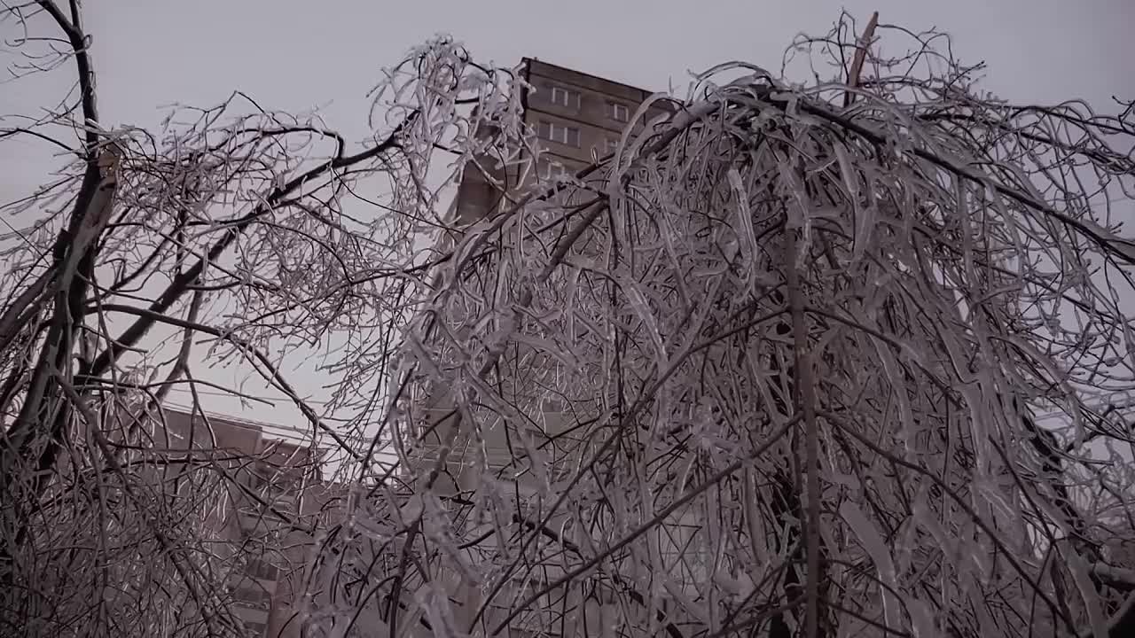 Видеограф из Владивостока создал документальный фильм к пятилетию «ледяного дождя»