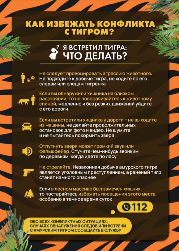 Обеспечение безопасности при возможном выходе диких животных на территорию населённых пунктов