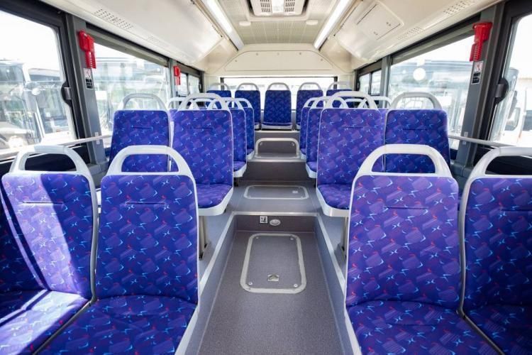        81 &quot;    &quot;,       -     