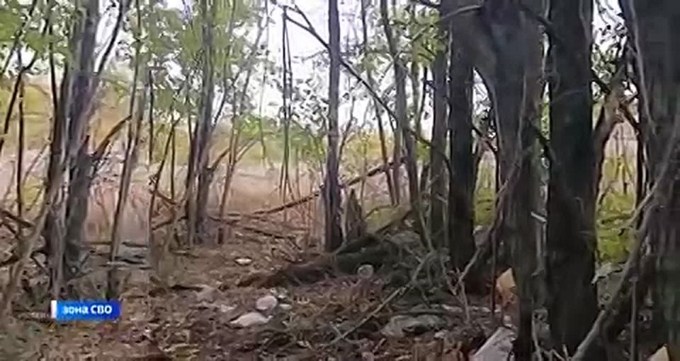 Военнослужащие группировки войск «Восток» рассказали подробности освобождения населённого пункта Ровнополье