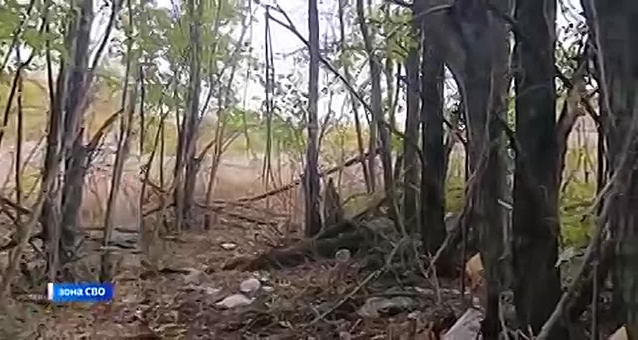 Военнослужащие группировки войск «Восток» рассказали подробности освобождения населённого пункта Ровнополье