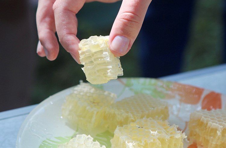             &quot;  &quot;  12   9 