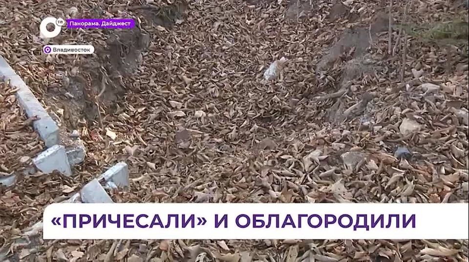 Реконструкция Ботанического сада ДВО РАН в пригороде Владивостока продолжается