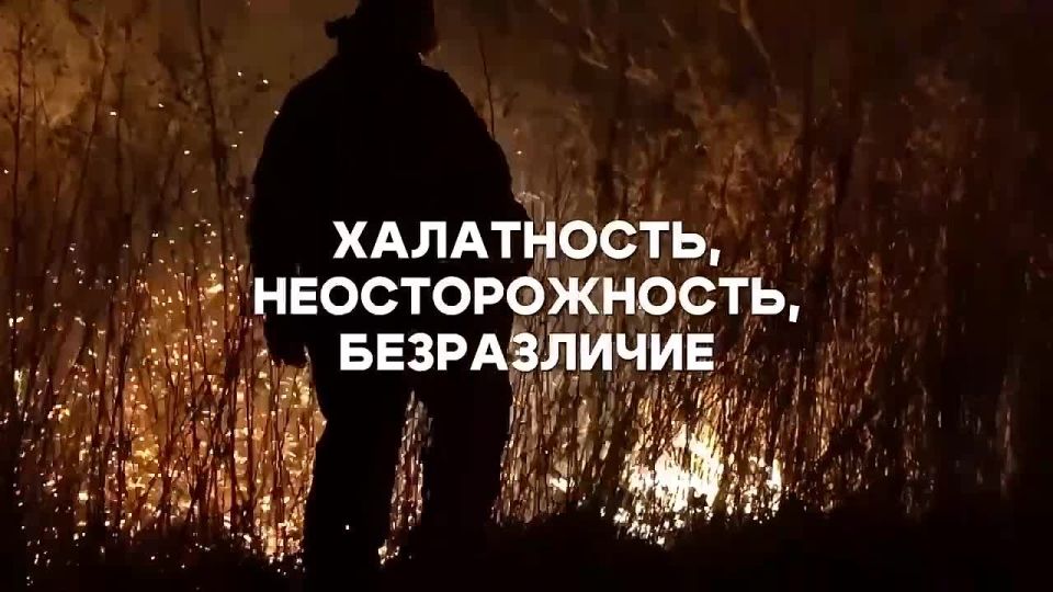 Главной причиной большинства лесных пожаров являются действия человека