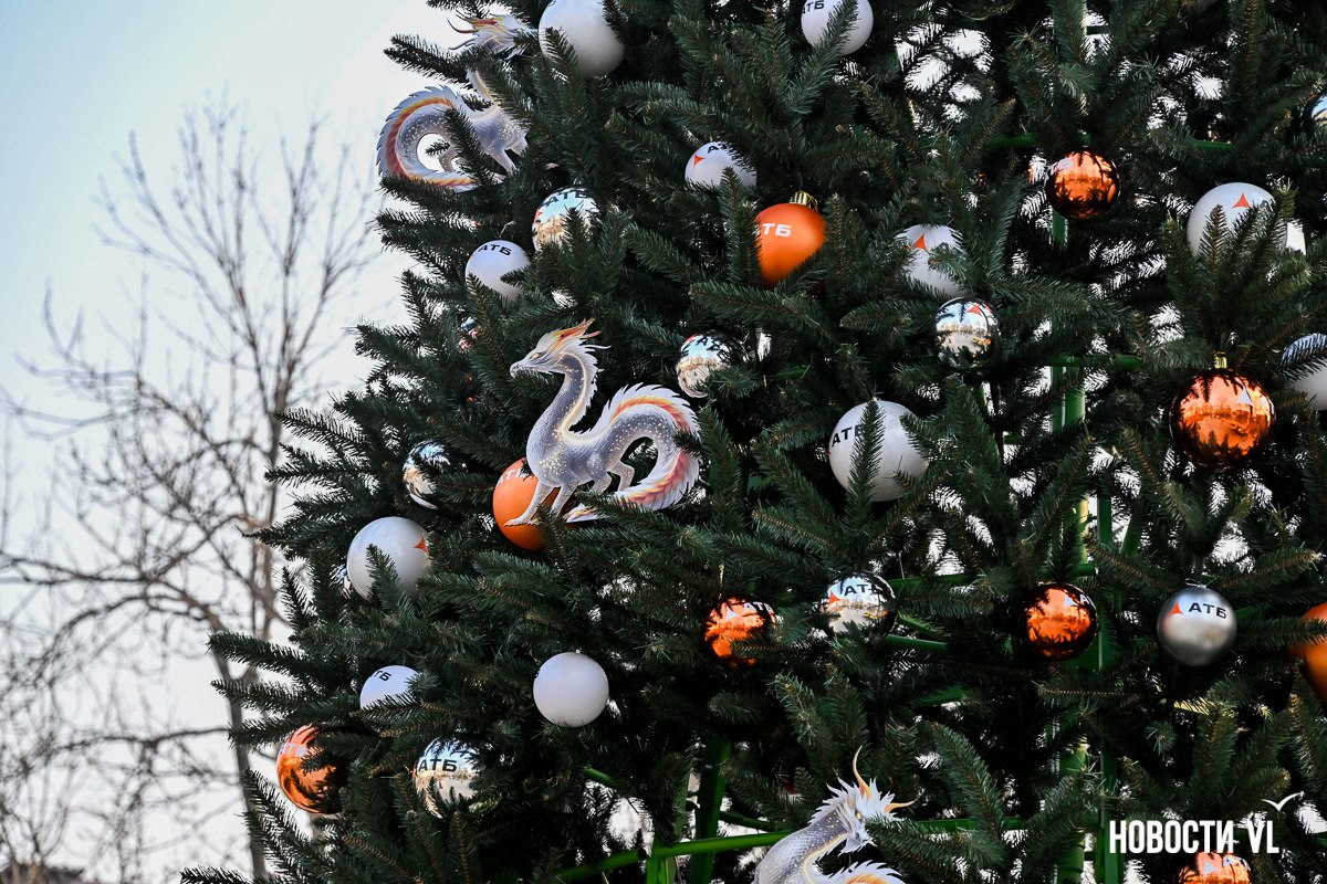 По городу тоже начали устанавливать новогодние ёлки По городу тоже начали устанавливать новогодние ёлки