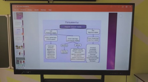 В мир паразитических организмов сегодня погрузились ученики первого во Владивостоке ветеринарного класса