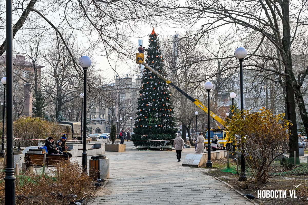 По городу тоже начали устанавливать новогодние ёлки По городу тоже начали устанавливать новогодние ёлки