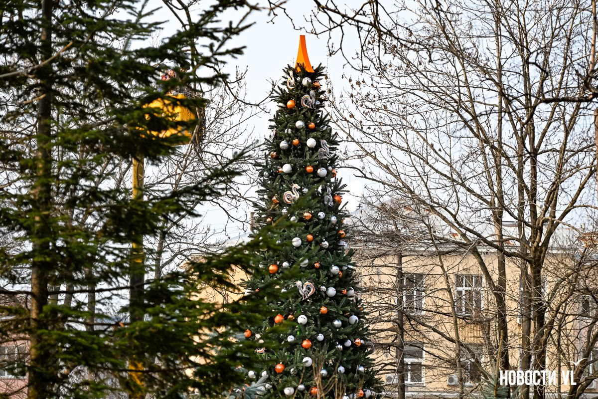 По городу тоже начали устанавливать новогодние ёлки По городу тоже начали устанавливать новогодние ёлки