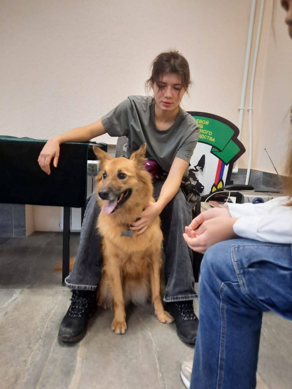 Во Владивостоке проводятся бесплатные занятия для детей, которые любят собак и мечтают научиться с ними работать! Подробнее об обучении: Во Владивостоке проводятся бесплатные занятия для детей, которые любят собак и мечтают научиться с ними работать! Подробнее об обучении: