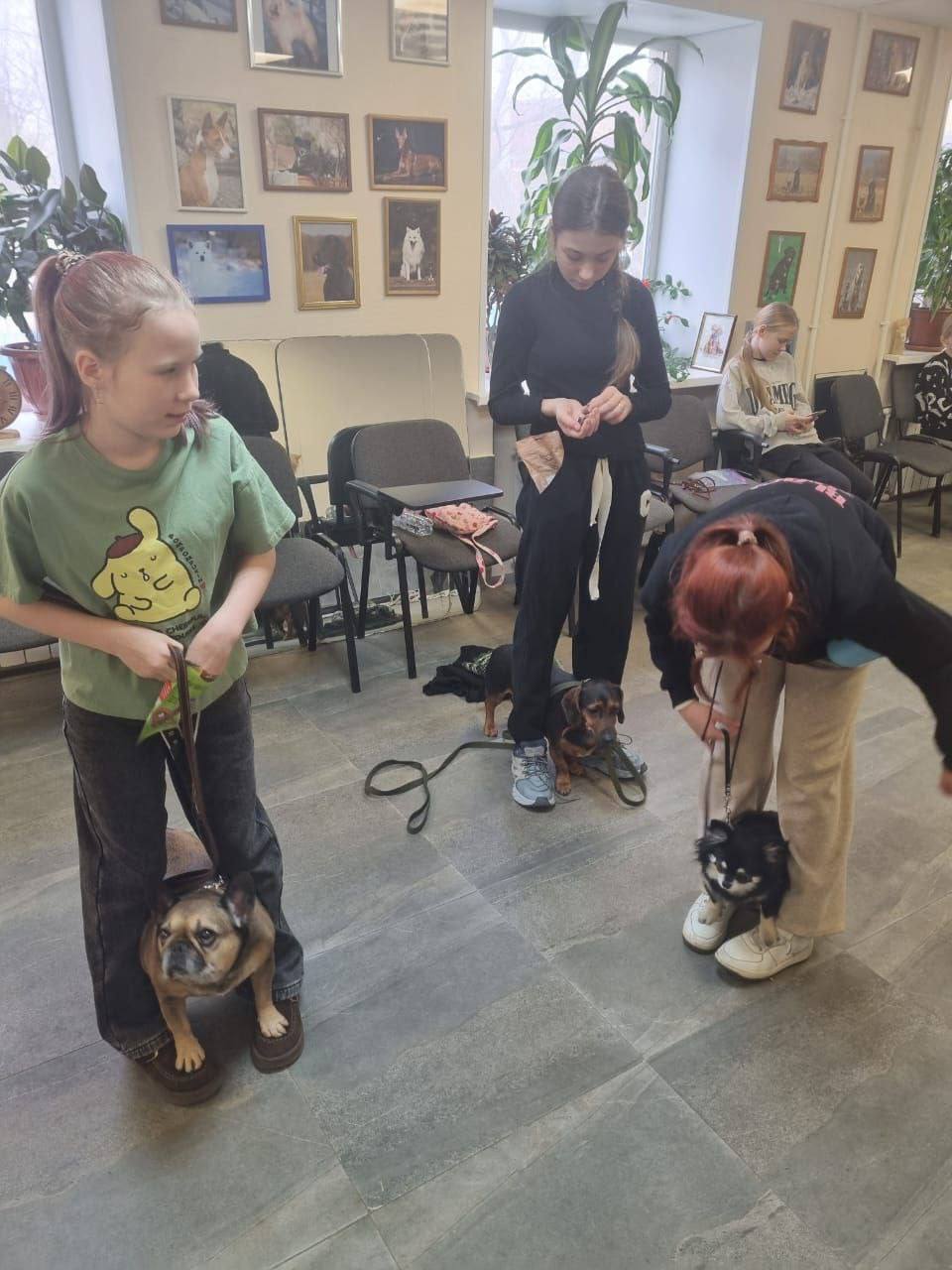 Во Владивостоке проводятся бесплатные занятия для детей, которые любят собак и мечтают научиться с ними работать! Подробнее об обучении: Во Владивостоке проводятся бесплатные занятия для детей, которые любят собак и мечтают научиться с ними работать! Подробнее об обучении: