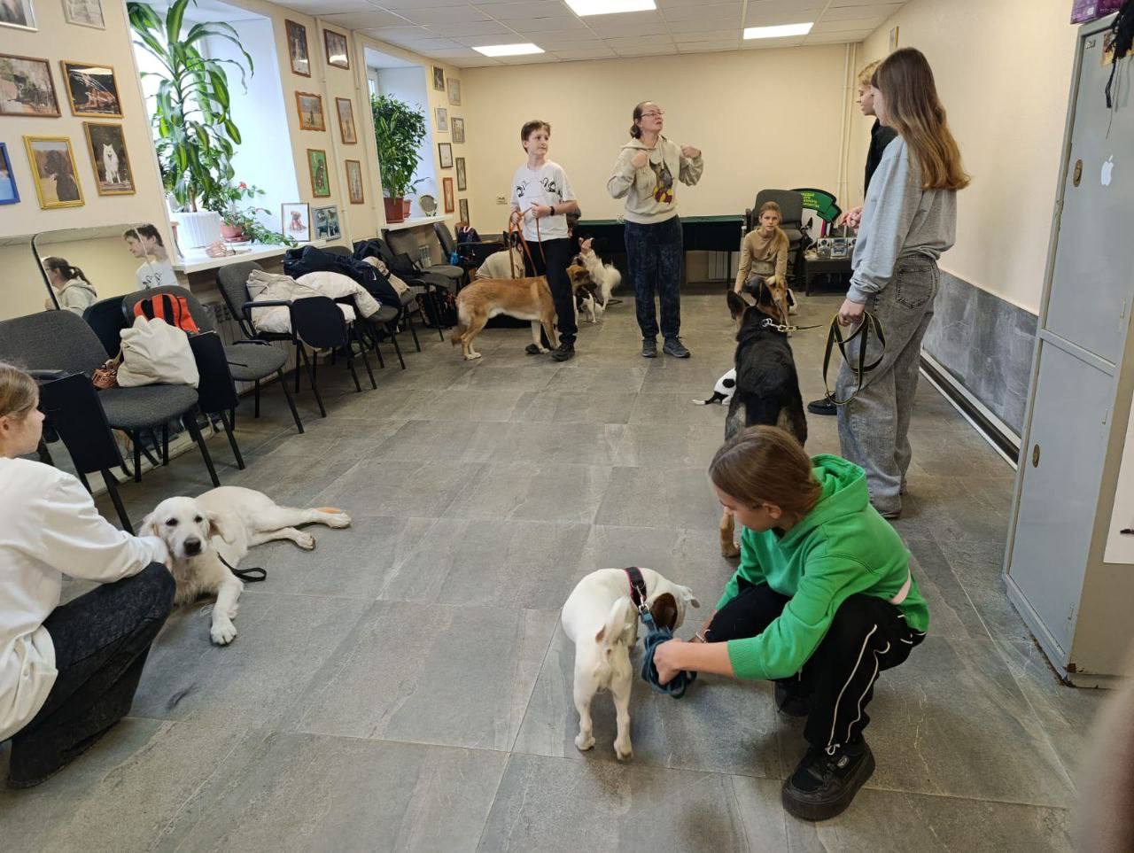Во Владивостоке проводятся бесплатные занятия для детей, которые любят собак и мечтают научиться с ними работать! Подробнее об обучении: Во Владивостоке проводятся бесплатные занятия для детей, которые любят собак и мечтают научиться с ними работать! Подробнее об обучении: