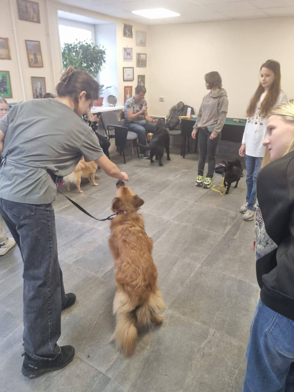 Во Владивостоке проводятся бесплатные занятия для детей, которые любят собак и мечтают научиться с ними работать! Подробнее об обучении: Во Владивостоке проводятся бесплатные занятия для детей, которые любят собак и мечтают научиться с ними работать! Подробнее об обучении:
