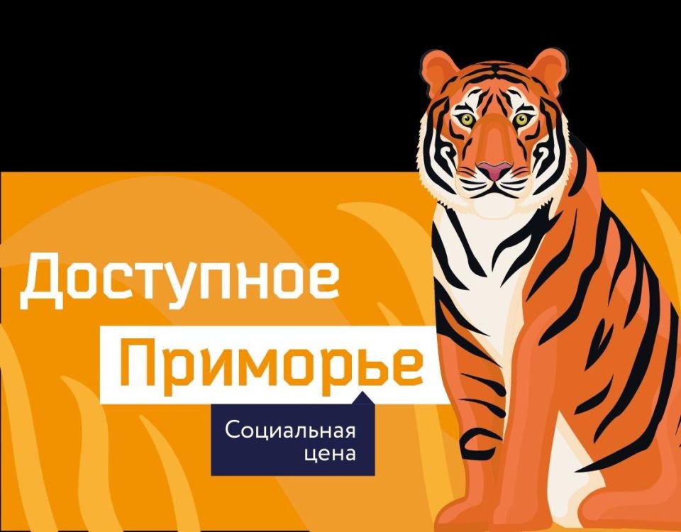 На портале и в мобильном приложении «Цифровое Приморье» представлен проект «Доступное Приморье»