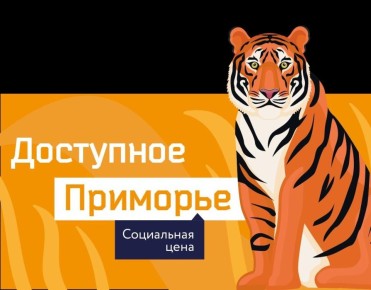 На портале и в мобильном приложении «Цифровое Приморье» представлен проект «Доступное Приморье»