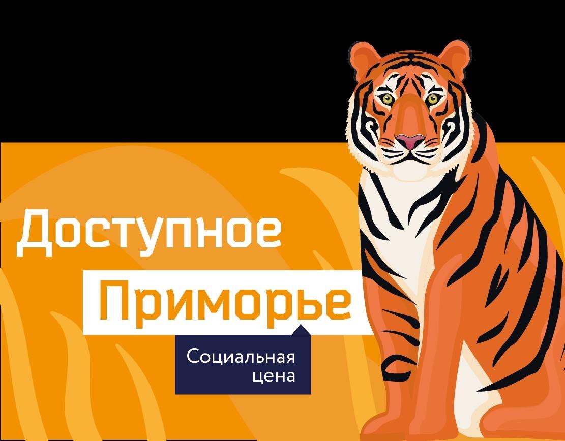 На портале и в мобильном приложении «Цифровое Приморье» представлен проект «Доступное Приморье»