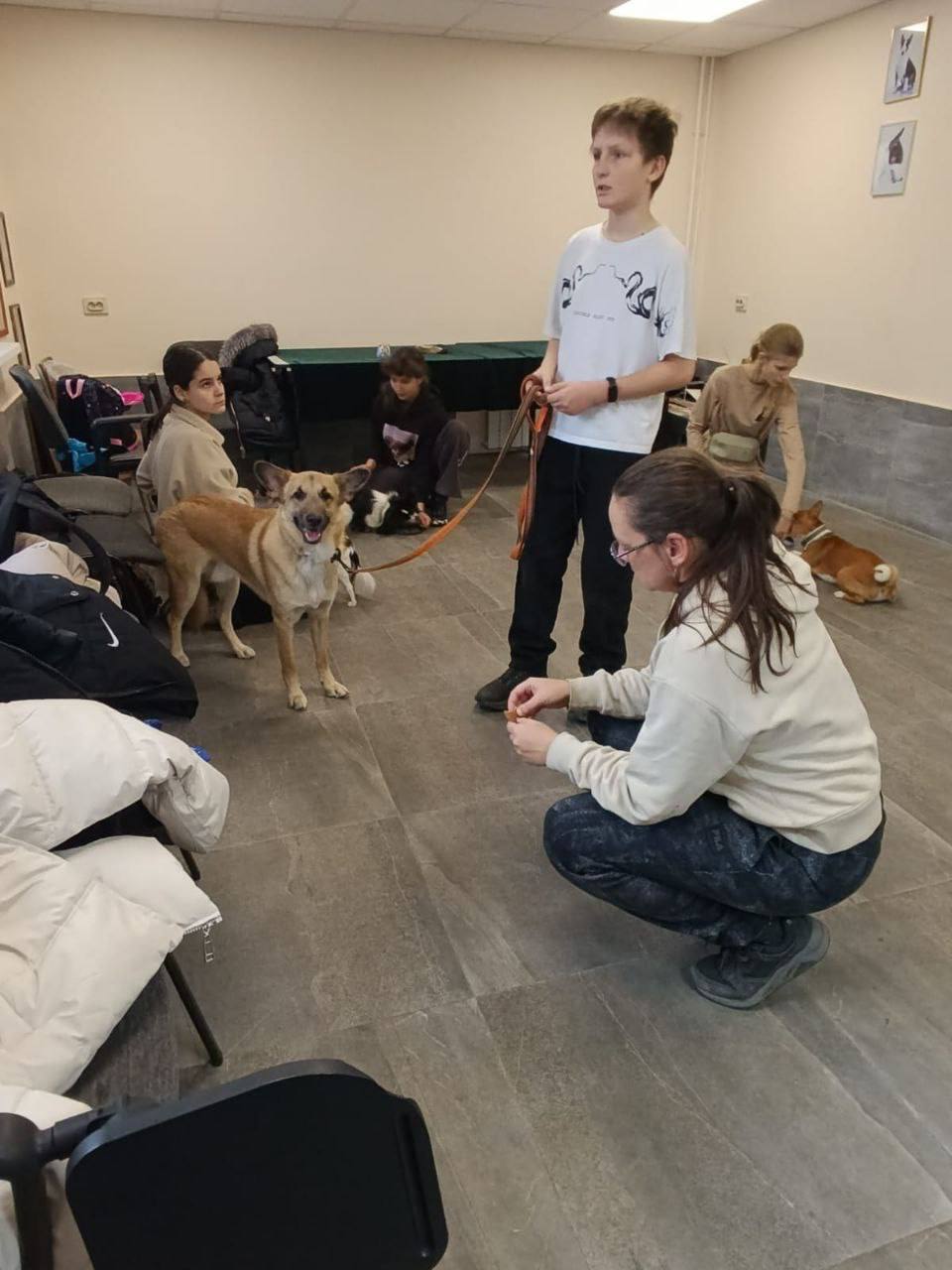 Во Владивостоке проводятся бесплатные занятия для детей, которые любят собак и мечтают научиться с ними работать! Подробнее об обучении: Во Владивостоке проводятся бесплатные занятия для детей, которые любят собак и мечтают научиться с ними работать! Подробнее об обучении: