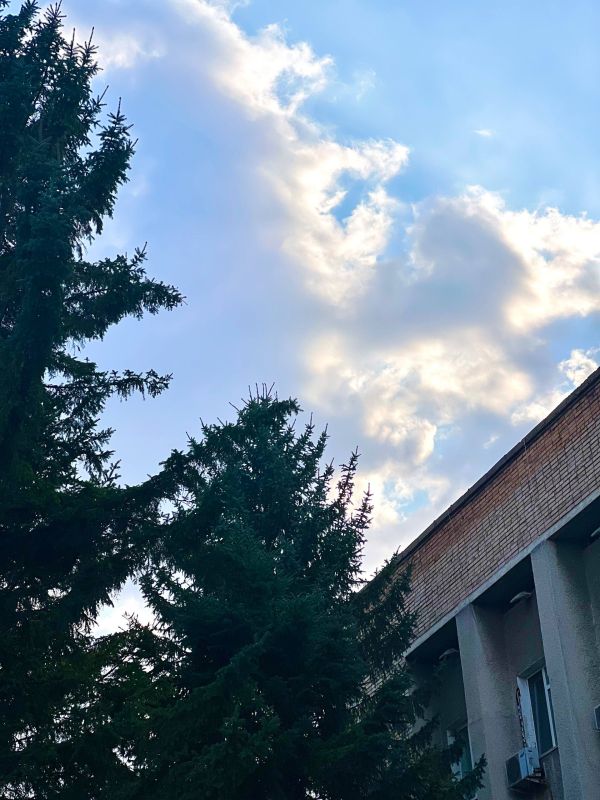 Доброе утро, Уссурийск!. Сегодня вторник, 25 ноября — желаем прекрасного настроения и продуктивного дня! Присылайте в сообщения нашей группы в ВКонтакте фотографии, сделанные на территории Уссурийского городского округа