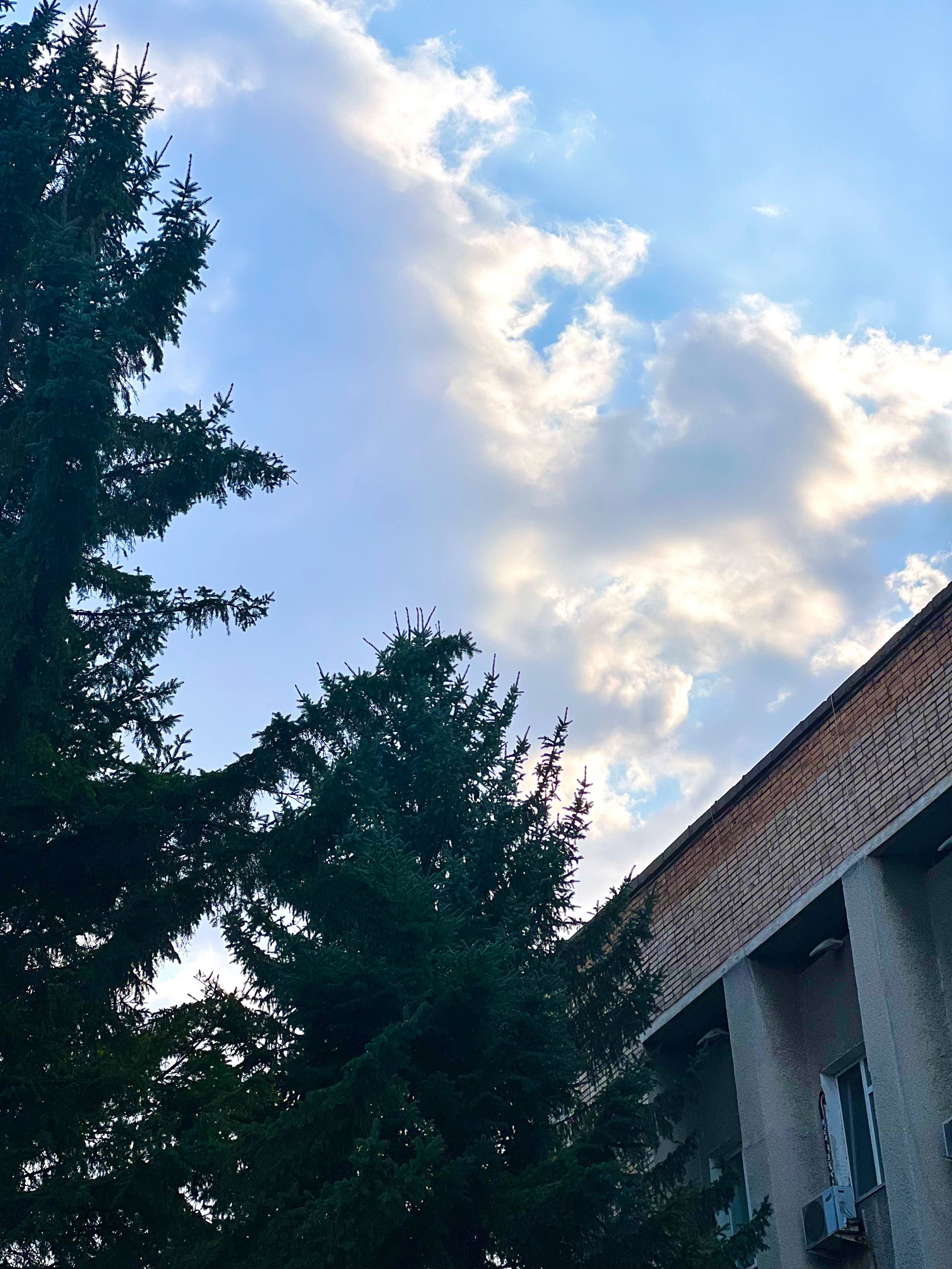 Доброе утро, Уссурийск!. Сегодня вторник, 25 ноября — желаем прекрасного настроения и продуктивного дня! Присылайте в сообщения нашей группы в ВКонтакте фотографии, сделанные на территории Уссурийского городского округа