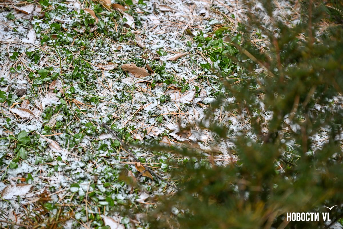 Владивосток встретил утро в белом Владивосток встретил утро в белом