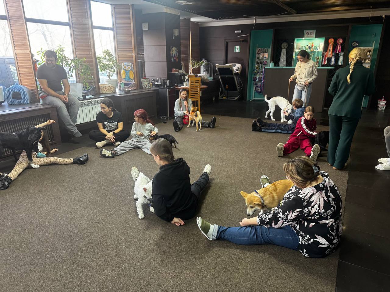 Во Владивостоке проводятся бесплатные занятия для детей, которые любят собак и мечтают научиться с ними работать! Подробнее об обучении: