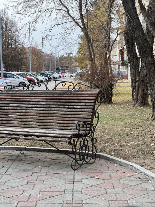 Доброе утро, Уссурийск!. Сегодня среда, 26 ноября — середина недели и хороший повод сделать паузу, вдохнуть глубже и зарядиться позитивом