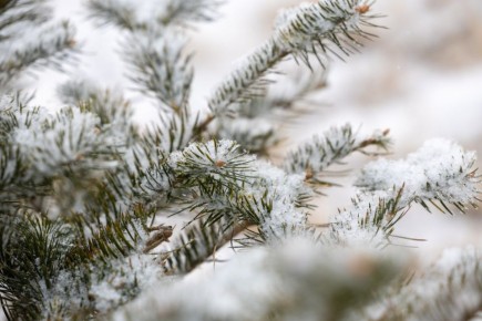 Ухудшение погодных условий ожидается завтра во Владивостоке