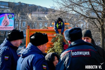 Дума Владивостока попросила краевых коллег увеличить штрафы за нелегальную торговлю цветами и ёлками