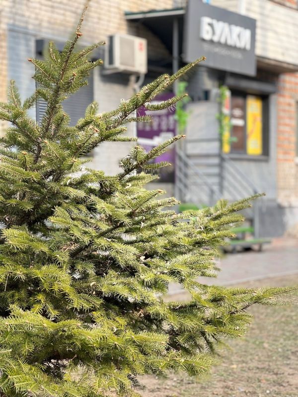 Доброе утро, Уссурийск!. Сегодня четверг, 27 ноября — время довести начатые дела до конца и двигаться вперёд с хорошим настроением