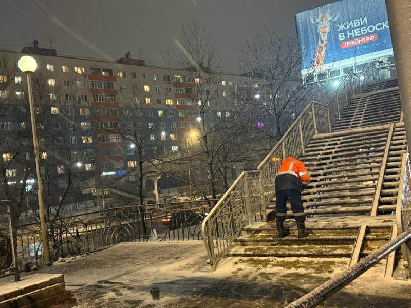 Во Владивостоке чистят тротуары и виадуки от снега