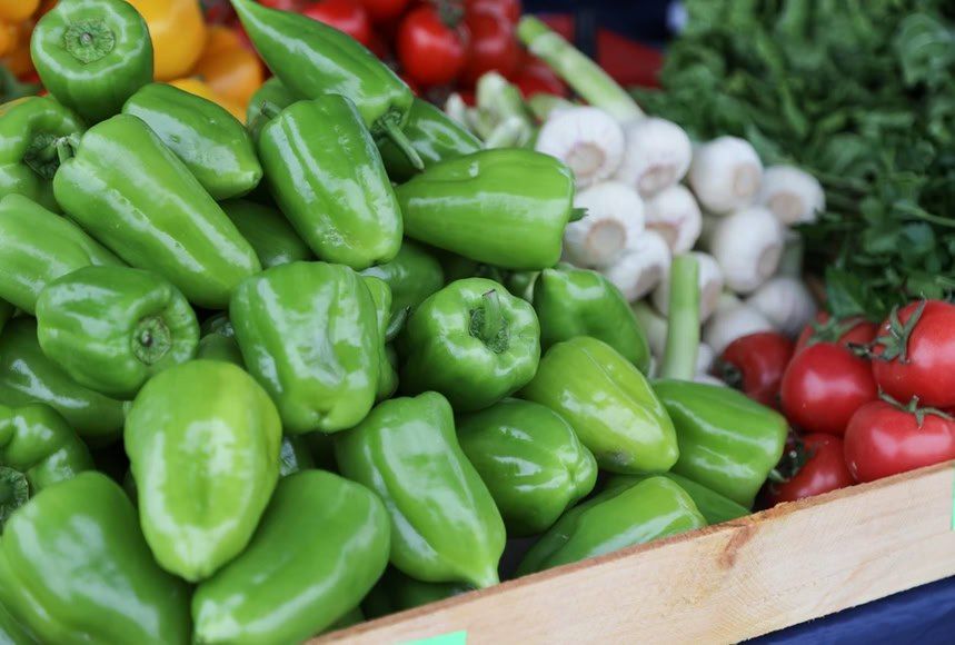 1 В Приморье запустят производство овощей мощностью 600 тонн в год