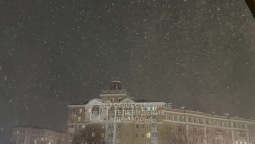 Во Владивостоке объявили свободное посещение в школах и детских садах