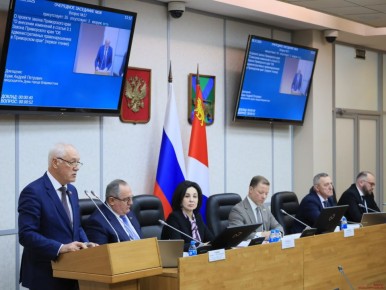 В Приморье могут вырасти штрафы за нелегальную торговлю ёлками и цветами