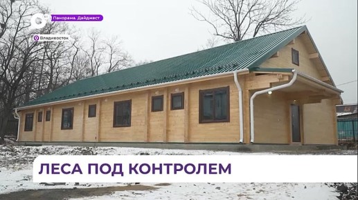 Министерство лесного хозяйства Приморья отчиталось о работе за 2025 год