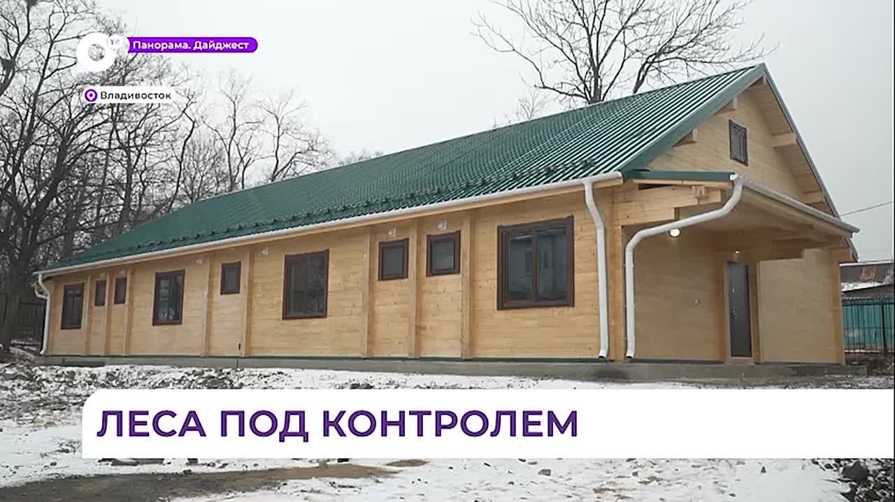 Министерство лесного хозяйства Приморья отчиталось о работе за 2025 год