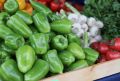 1 В Приморье запустят производство овощей мощностью 600 тонн в год