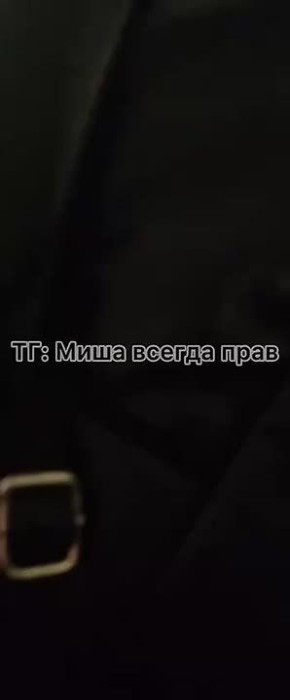 Во Владивостоке на Луговой вскрыли квартиру, где среди грязи ютились 15 кошек